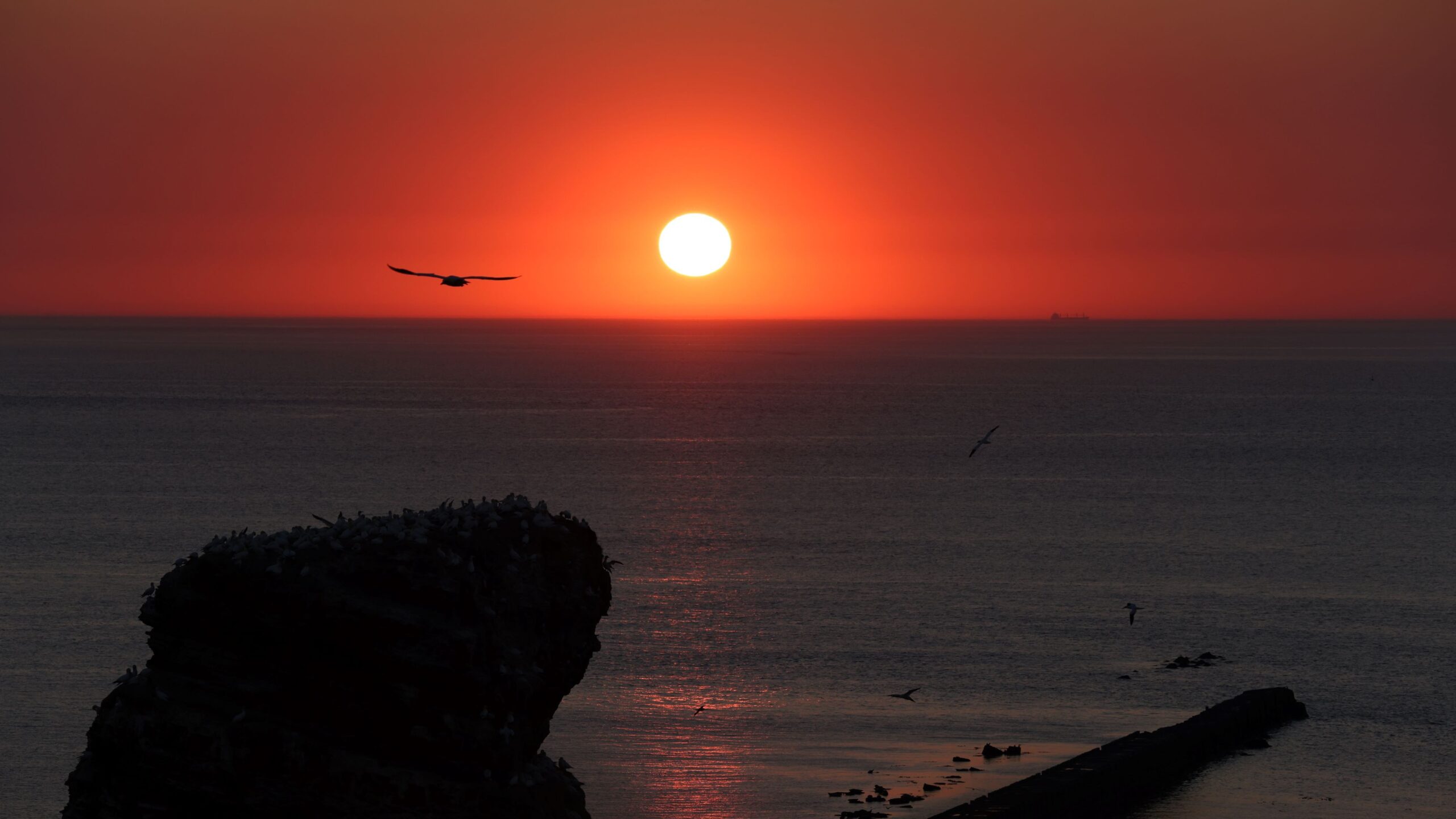 Our Erasmus+ project hEDItage has started!